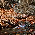 Autumn landscape Photograph by Michalakis Ppalis Autumn landscape Photograph by Michalakis Ppalis