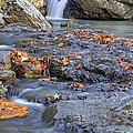 Autumn Leaves at Little Missouri Falls - Arkansas - Waterfall Photograph by Jason Politte Autumn Leaves at Little Missouri Falls - Arkansas - Waterfall Photograph by Jason Politte