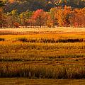 Autumn Marsh Photograph by Raymond Salani III Autumn Marsh Photograph by Raymond Salani III