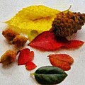 Autumn Medley by Jeffrey Kolker Autumn Medley by Jeffrey Kolker