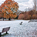 Autumn meet Winter Photograph by Shirley Mitchell Autumn meet Winter Photograph by Shirley Mitchell