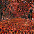 Autumn Photograph by Raymond Salani III Autumn Photograph by Raymond Salani III