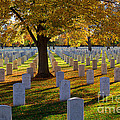 Autumn Remembrance Photograph by Jim Garrison Autumn Remembrance Photograph by Jim Garrison