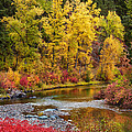 Autumn River Photograph by Mary Jo Allen Autumn River Photograph by Mary Jo Allen