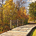 Autumn Stroll Fall Portrait Photograph by Gwen Gibson Autumn Stroll Fall Portrait Photograph by Gwen Gibson
