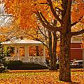 Autumnal Barre Common Photograph by Mitchell R Grosky Autumnal Barre Common Photograph by Mitchell R Grosky
