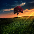 Awesome Solitude Photograph by Bess Hamiti Awesome Solitude Photograph by Bess Hamiti