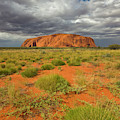 Ayers Rock Uluru-kata Tjuta Natl Park Photograph by Yva Momatiuk and John Eastcott Ayers Rock Uluru-kata Tjuta Natl Park Photograph by Yva Momatiuk and John Eastcott