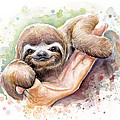 Baby Sloth Watercolor Painting by Olga Shvartsur Baby Sloth Watercolor Painting by Olga Shvartsur