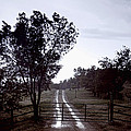 Back Country Road And Then The Rain Came Photograph by James BO Insogna Back Country Road And Then The Rain Came Photograph by James BO Insogna