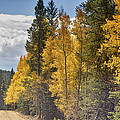 Back Road To Autumn Photograph by James BO Insogna Back Road To Autumn Photograph by James BO Insogna