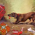 Bad Dog Christmas by Stella Violano