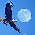 Bald Eagle and Full Moon Photograph by Raymond Salani III Bald Eagle and Full Moon Photograph by Raymond Salani III