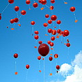 Balloons in the Air Photograph by Amanda Mohler Balloons in the Air Photograph by Amanda Mohler