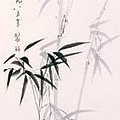 Bamboo by Fereshteh Stoecklein