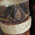 Bamboo Node on Rain Stick by Ashley Goforth