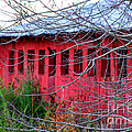 Barn of Red by Diana Sainz Photograph by Diana Raquel Sainz Barn of Red by Diana Sainz Photograph by Diana Raquel Sainz