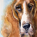 Basset Hound Painting by Judith Levins Basset Hound Painting by Judith Levins