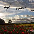 Battle of Britain Poppy Pride Digital Art by Airpower Art Battle of Britain Poppy Pride Digital Art by Airpower Art