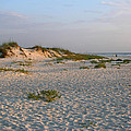 Beach At Sunrise by Julianne Felton Beach At Sunrise by Julianne Felton