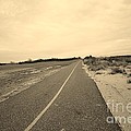Lonely Beach Bike Path Photograph by Stacie Siemsen Lonely Beach Bike Path Photograph by Stacie Siemsen