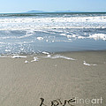 Beach Love Photograph by Linda Woods Beach Love Photograph by Linda Woods