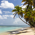 Beach Pigeon Point Tobago West Indies Photograph by Konrad Wothe Beach Pigeon Point Tobago West Indies Photograph by Konrad Wothe