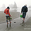 Beach Treasures Photograph by Micki Findlay Beach Treasures Photograph by Micki Findlay