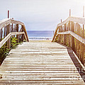 Beach View by Elena Elisseeva Beach View by Elena Elisseeva