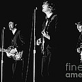 Beatles In Concert, 1964 Photograph by Larry Mulvehill Beatles In Concert, 1964 Photograph by Larry Mulvehill