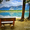 Bench View At Lake Edith by Tara Turner Bench View At Lake Edith by Tara Turner