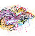 Betta Fish Watercolor Painting by Olga Shvartsur Betta Fish Watercolor Painting by Olga Shvartsur