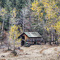 Better Days Photograph by James BO Insogna Better Days Photograph by James BO Insogna