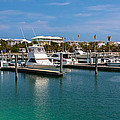 Bimini Bay Resort Photograph by Ed Gleichman Bimini Bay Resort Photograph by Ed Gleichman