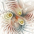 Birds Of Paradise by Anastasiya Malakhova Birds Of Paradise by Anastasiya Malakhova