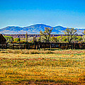 Bishop Ranching Photograph by Carla E