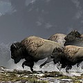 Bison Stampede Digital Art by Daniel Eskridge Bison Stampede Digital Art by Daniel Eskridge