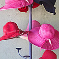 Black Chapeau of the Family Photograph by Rick Locke - Out of the Corner of My Eye Black Chapeau of the Family Photograph by Rick Locke - Out of the Corner of My Eye