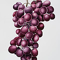 Black Grapes by Sally Crosthwaite Black Grapes by Sally Crosthwaite