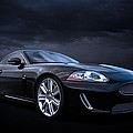 Black Jaguar by Douglas Pittman Black Jaguar by Douglas Pittman