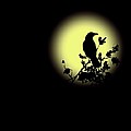 Blackbird in Silhouette II Photograph by David Dehner Blackbird in Silhouette II Photograph by David Dehner