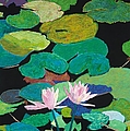 Blairs Pond by Allan P Friedlander Blairs Pond by Allan P Friedlander