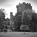 Blarney Castle Photograph by Mike McGlothlen Blarney Castle Photograph by Mike McGlothlen