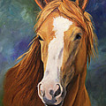Blaze Face by Cheri Wollenberg