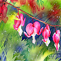 Bleeding Hearts Painting by Hailey E Herrera Bleeding Hearts Painting by Hailey E Herrera