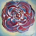 Bloom II by Shadia Derbyshire Bloom II by Shadia Derbyshire