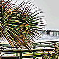 Blowin at the Beach Photograph by Alice Gipson Blowin at the Beach Photograph by Alice Gipson