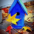 Blue Bird House Photograph by Rodney Lee Williams Blue Bird House Photograph by Rodney Lee Williams