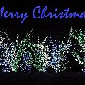 Blue Christmas Photograph by Darren Robinson Blue Christmas Photograph by Darren Robinson