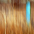 Blue Fencepost Photograph by Theresa Tahara Blue Fencepost Photograph by Theresa Tahara
